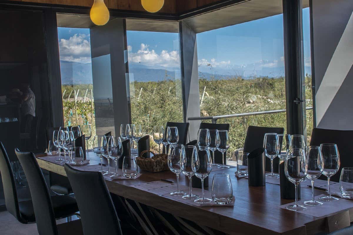 Valle de Uco — El futuro del vino