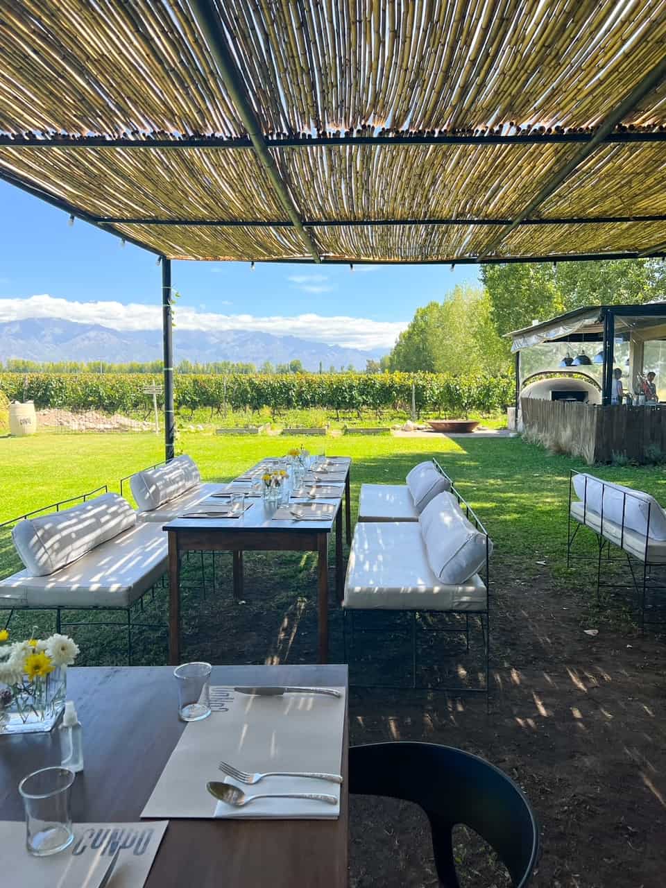 Picnics y atardeceres en viñedo