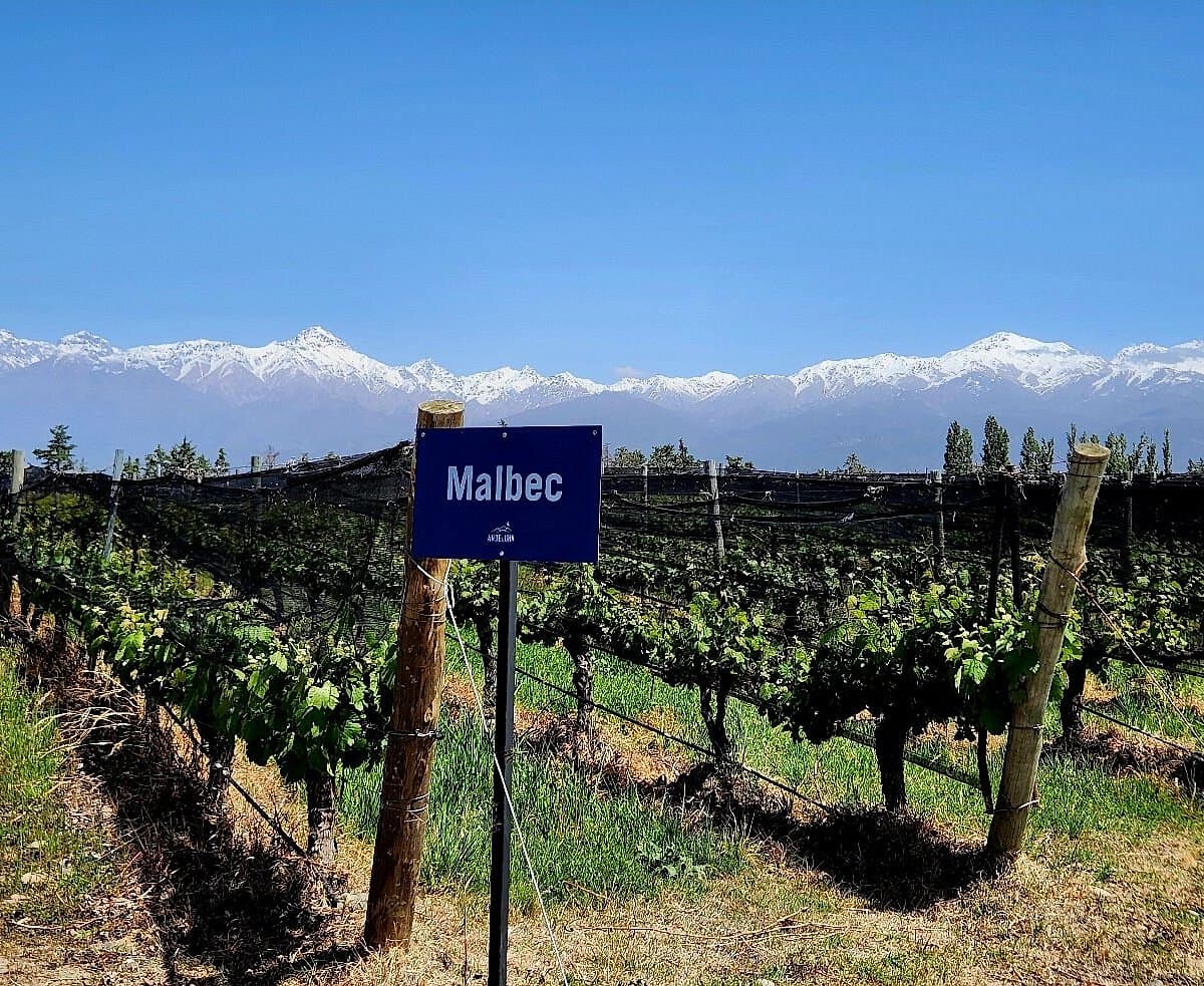 Andeluna — Valle de Uco