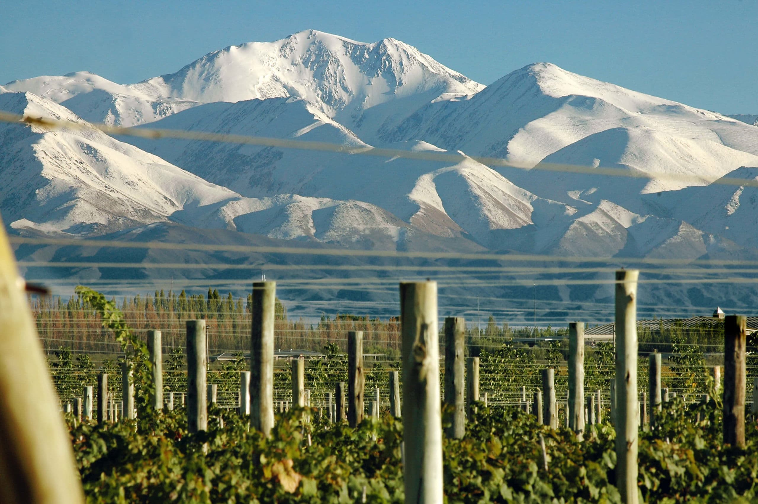Viñedos de Mendoza con la Cordillera de los Andes al atardecer